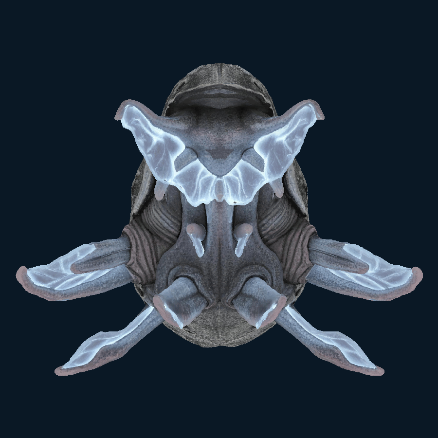 Ashen Sentinel — back model view