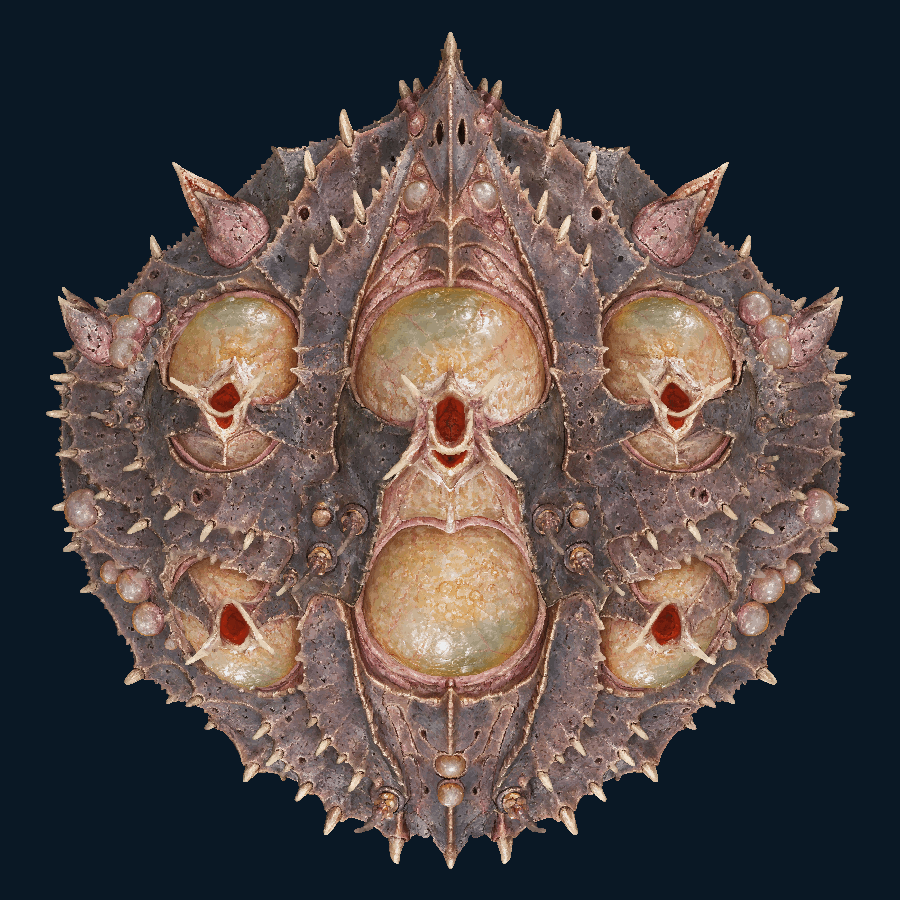 Brinebomb Lobber — Top view
