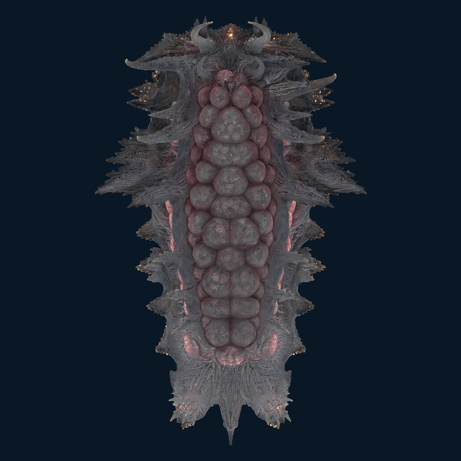 Broodwake Colossus — Bottom view