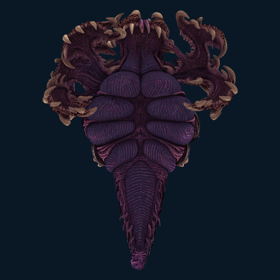 Crimson Harrow-class Capital Ship — Bottom view
