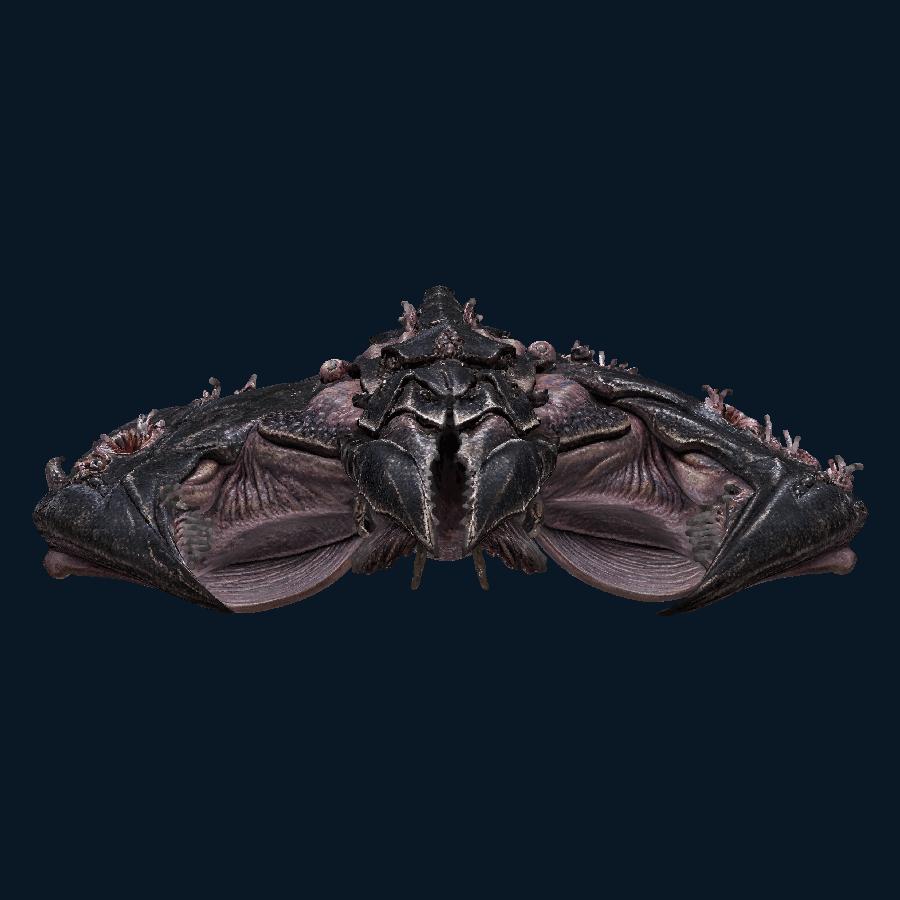 Ebon Seeker-class Battleship — Front view