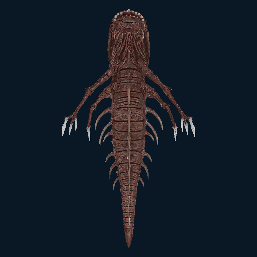 Iron Maw — bottom model view