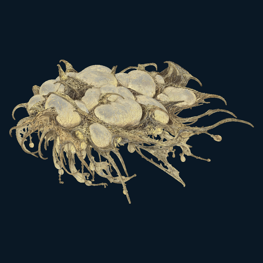Mistwake Gland model overview