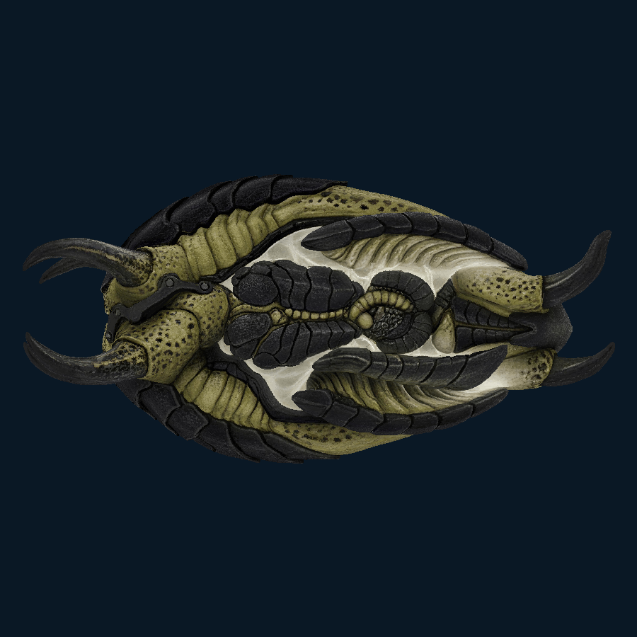 Obsidian Pilgrim — right model view