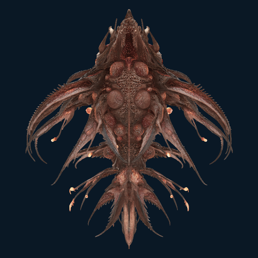 Siege Deepworlder — Bottom view