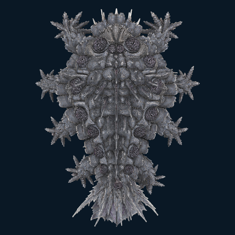Stormtrench Bastion — Top view