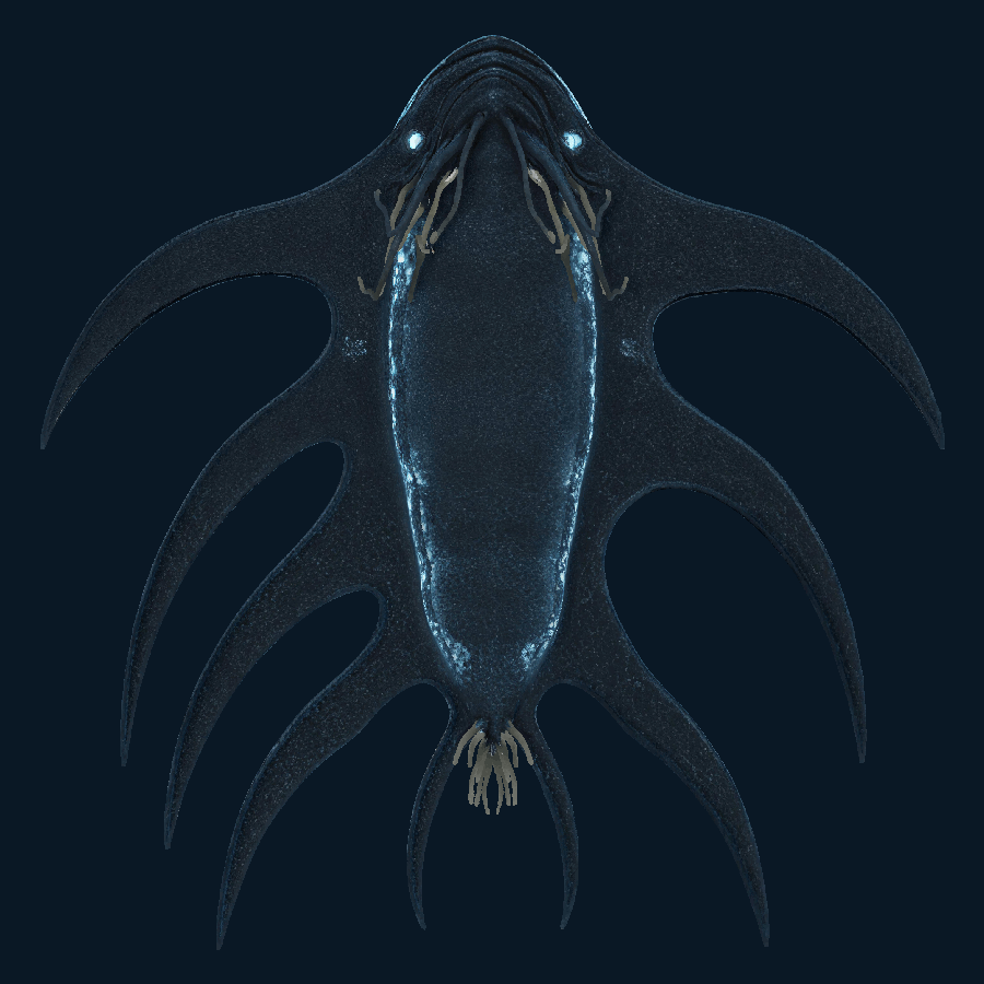 Void Chorus — bottom model view
