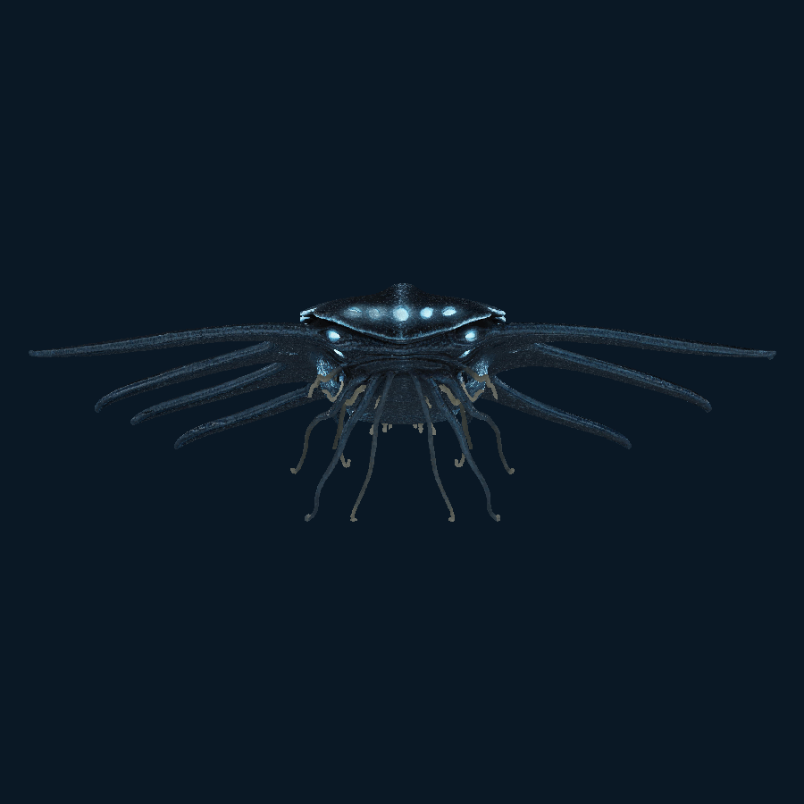 Void Chorus — front model view
