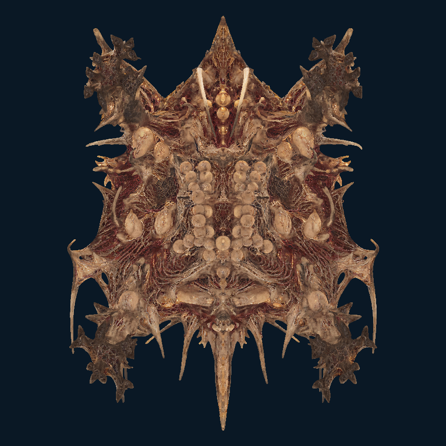 Worldgnawer Behemoth — Bottom view